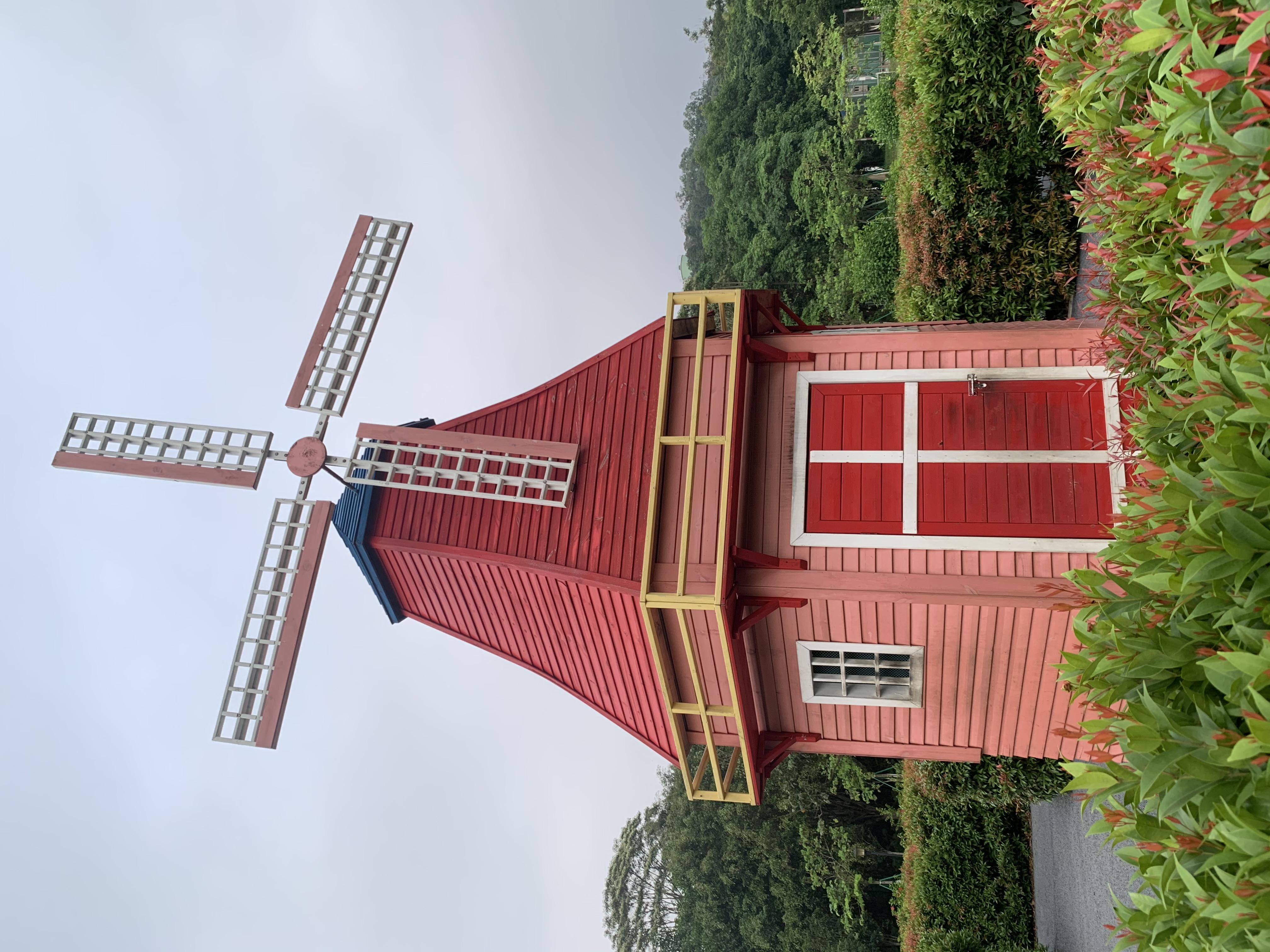 岭南的日子 1