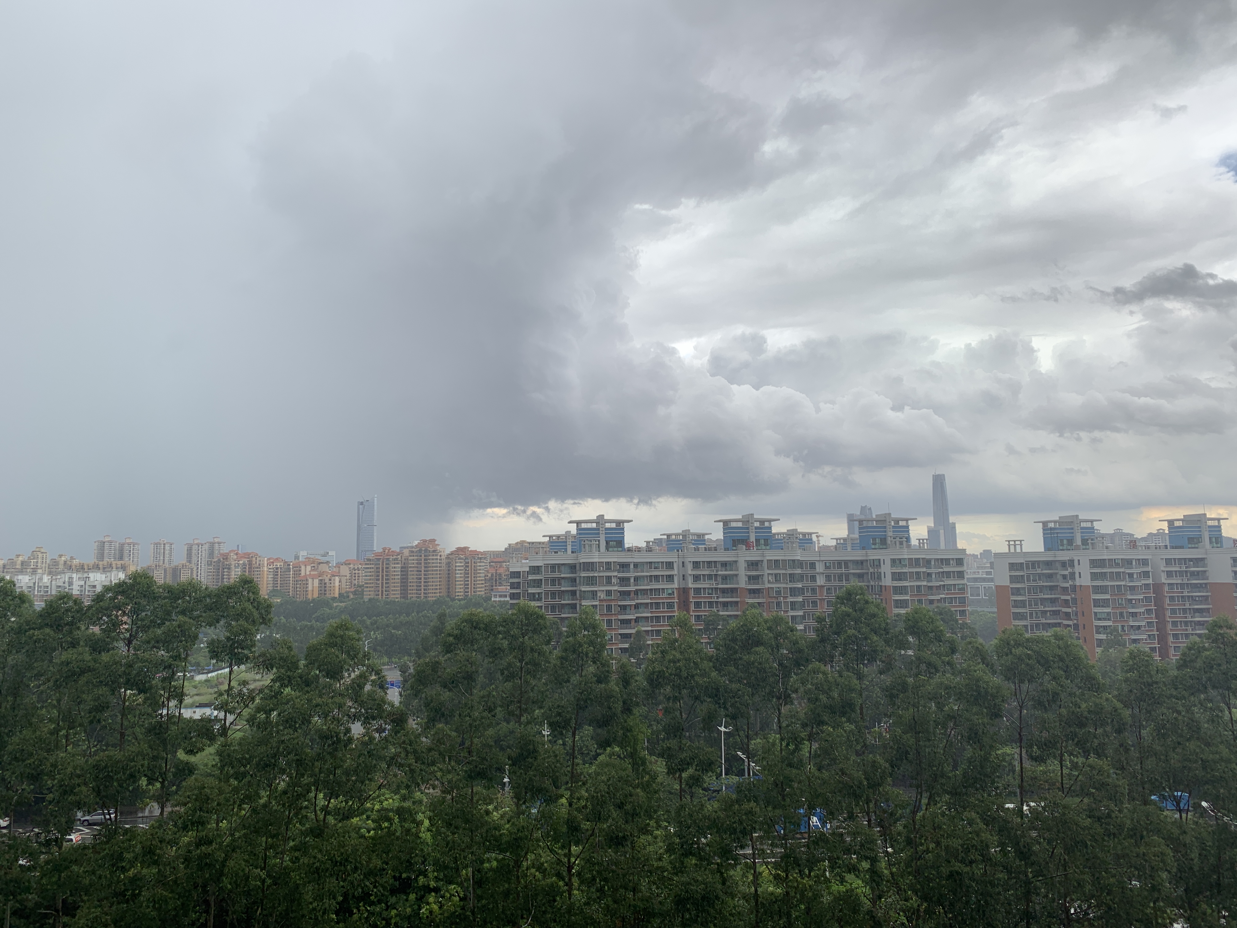 大雨欲来